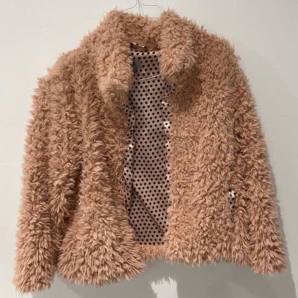 Teddy bear jacket